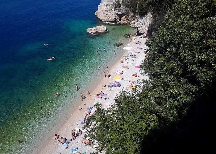 Apartamento With Wifi - 15753 Rijeka